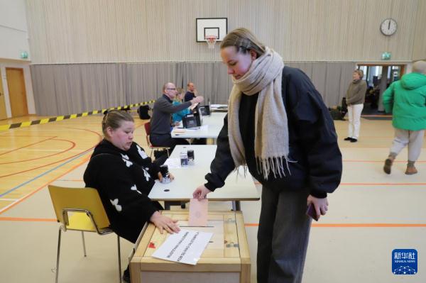 芬兰举行总统选举第二轮投票