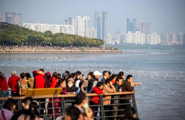 深圳最低温或降至10℃以下！就在2月中旬末……