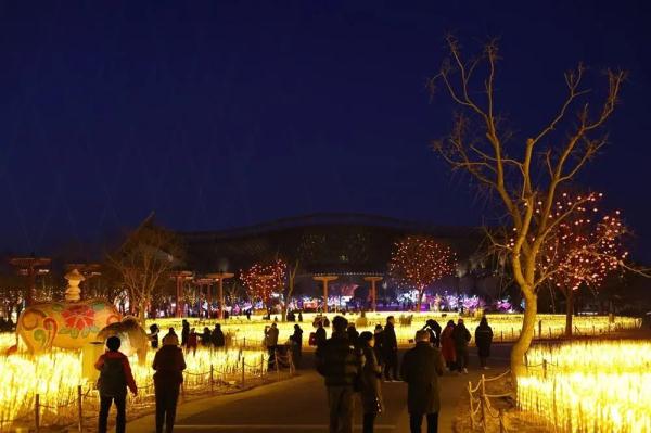 赏“千灯”!北京新春灯会超强攻略→ 赏“千灯”!北京新春灯会超强攻略→