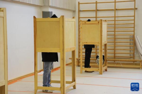 芬兰举行总统选举第二轮投票