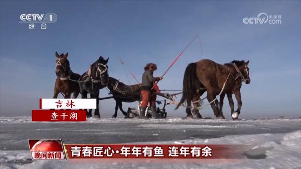 【青春匠心】年年有鱼 连年有余