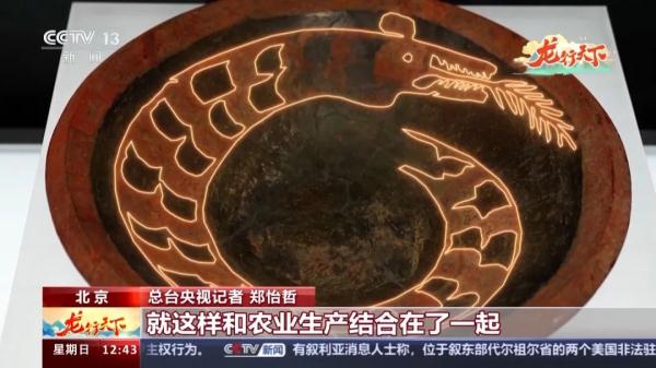 龙从何而来？走进中国考古博物馆开启“寻龙之旅”