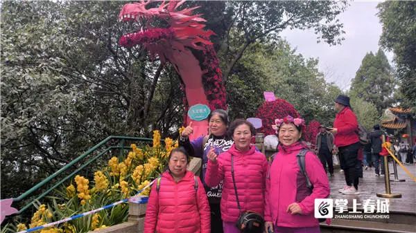 昆明这里已超万人“打卡”！官方紧急提醒→
