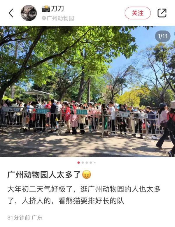 重回20℃+!广州未来10天温暖如春!下一波降温将在…… 重回20℃+!广州未来10天温暖如春!下一波降温将在……