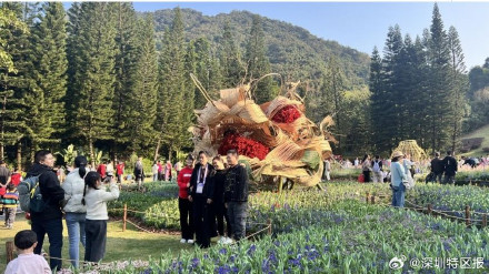 10万游客在仙湖植物园喜迎新春