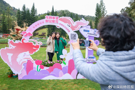10万游客在仙湖植物园喜迎新春