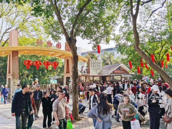 冷空气和暖湿气流排队“拜年”，广西接下来的天气......