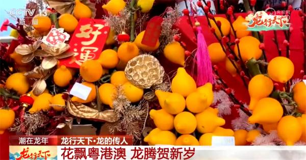 花飘粤港澳 龙行大湾区 年俗里腾飞着属于中国人的龙马精神 花飘粤港澳 龙行大湾区 年俗里腾飞着属于中国人的龙马精神