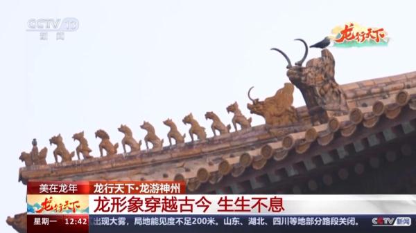 一头双身、盘曲如蛇，龙的雏形长啥样？一文带你领略龙形象的古今变化