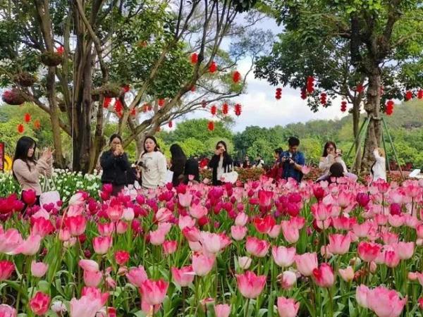 冷空气和暖湿气流排队“拜年”，广西接下来的天气......