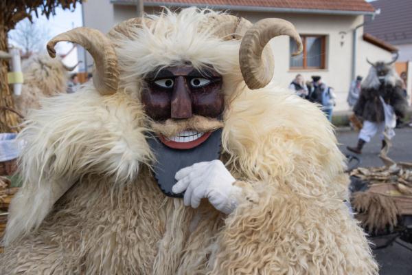 匈牙利莫哈奇狂欢节