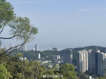 珠海各口岸春节迎来出入境“双向”客流高峰，跨境过年成新风尚