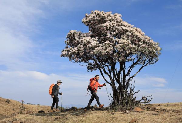 “时尚单品”冲锋衣背后的千亿“风口”