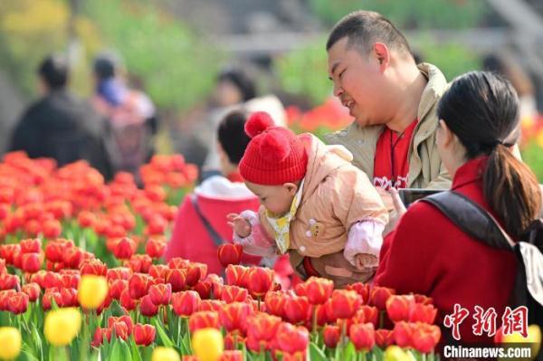 锦绣中国年｜赏花灯、观表演、品美食 重庆多彩活动“闹”新春