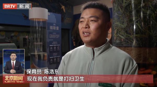 他们的工作，是给野生动物当“奶爸奶妈”！
