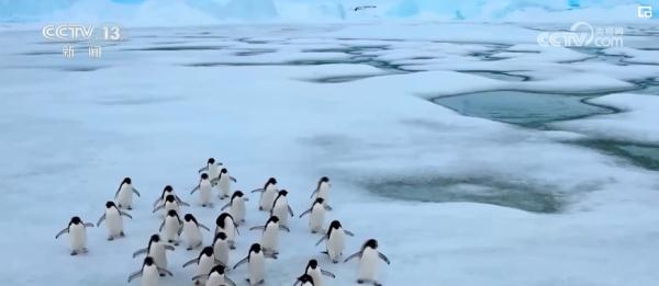 科技力,世界瞩目!我国已成为国际南极研究不可或缺的力量 科技力,世界瞩目!我国已成为国际南极研究不可或缺的力量