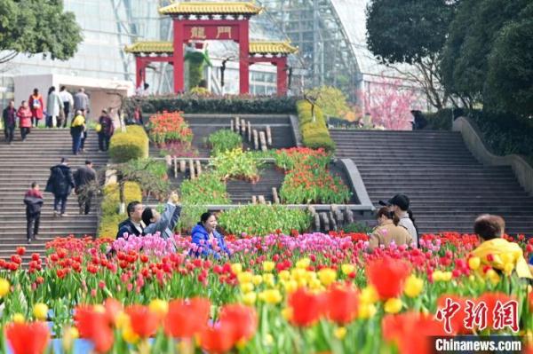 锦绣中国年｜赏花灯、观表演、品美食 重庆多彩活动“闹”新春