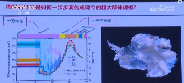 科技力,世界瞩目!我国已成为国际南极研究不可或缺的力量 科技力,世界瞩目!我国已成为国际南极研究不可或缺的力量