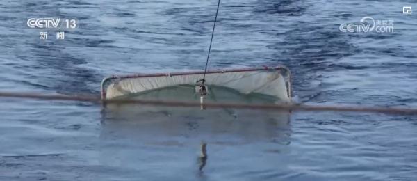 科技力,世界瞩目!我国已成为国际南极研究不可或缺的力量 科技力,世界瞩目!我国已成为国际南极研究不可或缺的力量