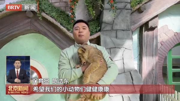 他们的工作，是给野生动物当“奶爸奶妈”！