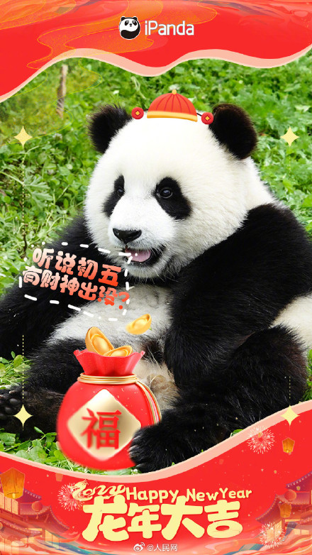 大熊猫初五送福啦