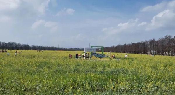 弱冷空气返程！年初七珠海气温略降！但未来几天……