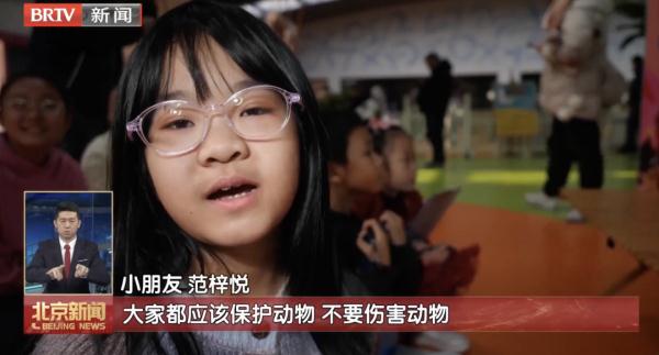 他们的工作，是给野生动物当“奶爸奶妈”！