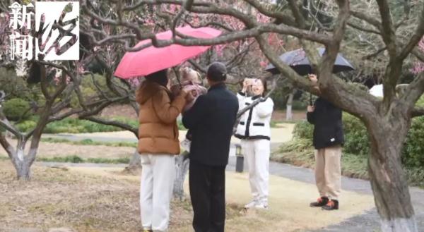 停航停运！大风+寒潮已抵达上海！网友：羽绒服收早了