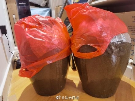 快把妈妈家搬破产了！你的返程后备厢被装满了吗？