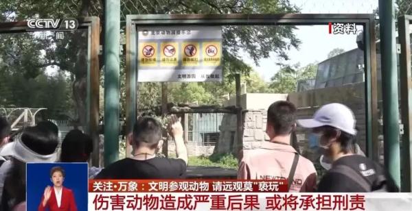 爱是克制！对熊猫等动物造成伤害，后果严重或担刑责