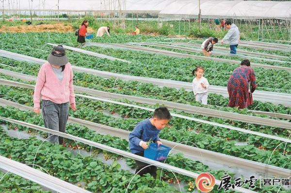 假期后三天广西气温先降后升！回南天“卷土重来”！20日起还有强冷空气......