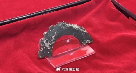 “早商第一龙”首次亮相！