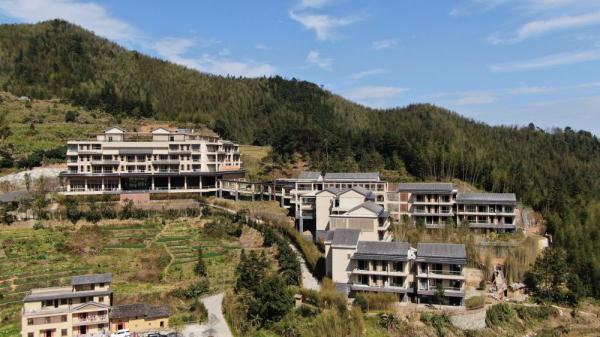 3万亩竹海的带旺的马安村 3万亩竹海的带旺的马安村