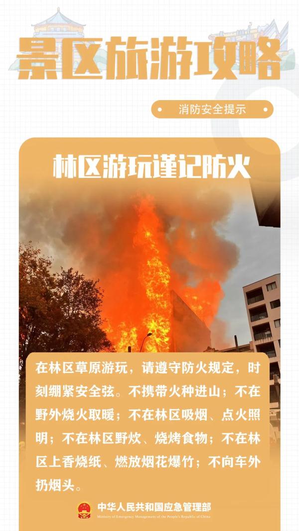 一景区网红桥侧翻?春节出游,这份安全攻略一键get! 一景区网红桥侧翻?春节出游,这份安全攻略一键get!