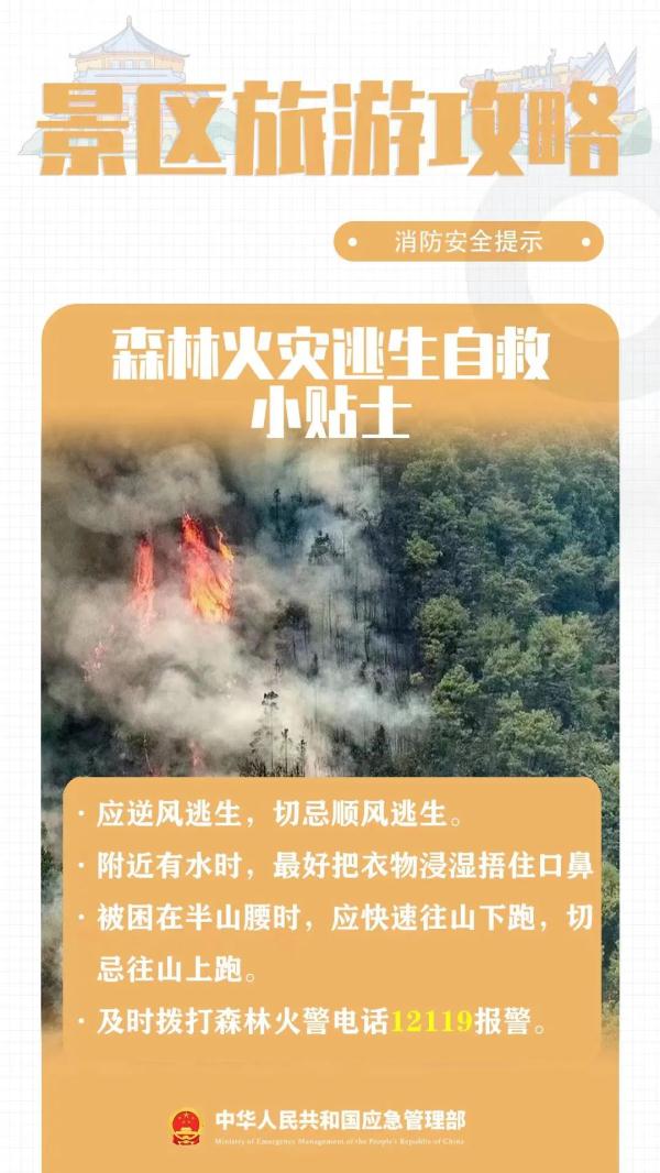 一景区网红桥侧翻?春节出游,这份安全攻略一键get! 一景区网红桥侧翻?春节出游,这份安全攻略一键get!