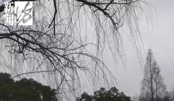 停航停运！大风+寒潮已抵达上海！网友：羽绒服收早了