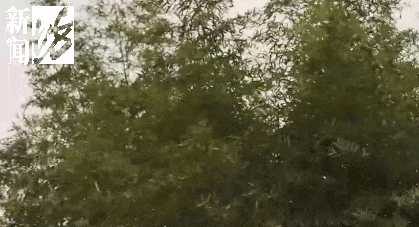 停航停运！大风+寒潮已抵达上海！网友：羽绒服收早了