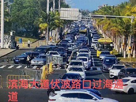 海口三港待渡场已饱和，出岛小车请勿到港！