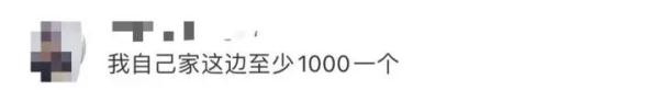 给出去两万，只收回两千！有人掏空年终奖，还有人数钱到手软