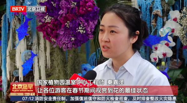 春节不回家，我在北京过大年！背后的原因各不相同