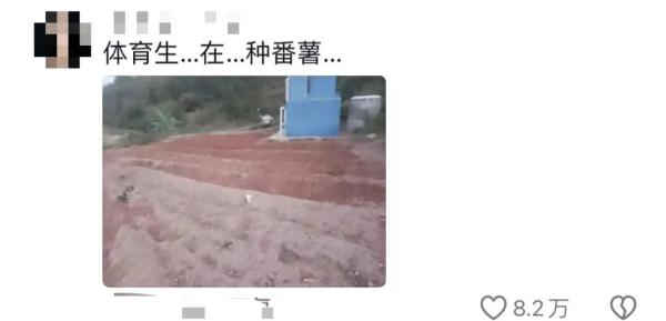 全村人排队找大学生修手机!大学生:忙不完,根本忙不完! 全村人排队找大学生修手机!大学生:忙不完,根本忙不完!