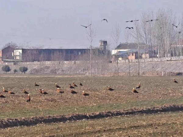 “被跳楼者砸中的女孩”，一家四口团圆在新年里：没贴春联，没放烟花...