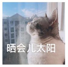 返程高峰遇上“大回暖”,上海地铁多线延时运营!下周一或将飙至24℃→ 返程高峰遇上“大回暖”,上海地铁多线延时运营!下周一或将飙至24℃→