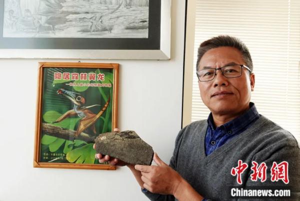 龙年说龙，亿万年前陆、海、空这三种龙有何奥秘？
