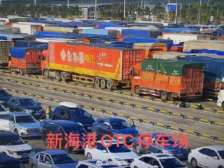 海口三港待渡场已饱和，出岛小车请勿到港！