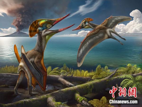 龙年说龙，亿万年前陆、海、空这三种龙有何奥秘？
