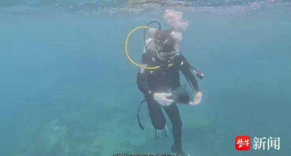 小伙开自造的游艇首航去三亚过年