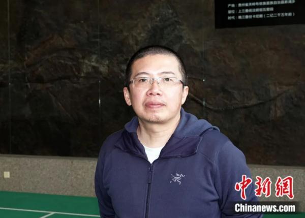 龙年说龙，亿万年前陆、海、空这三种龙有何奥秘？