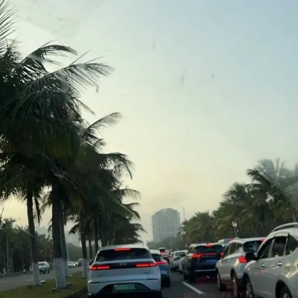 崩溃！有人开车12个小时没出省，有人换乘5种交通工具曲线返程，还有人被困在原地……