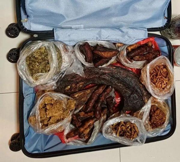 行李箱里“爸妈满满的爱”，都能带上火车吗？